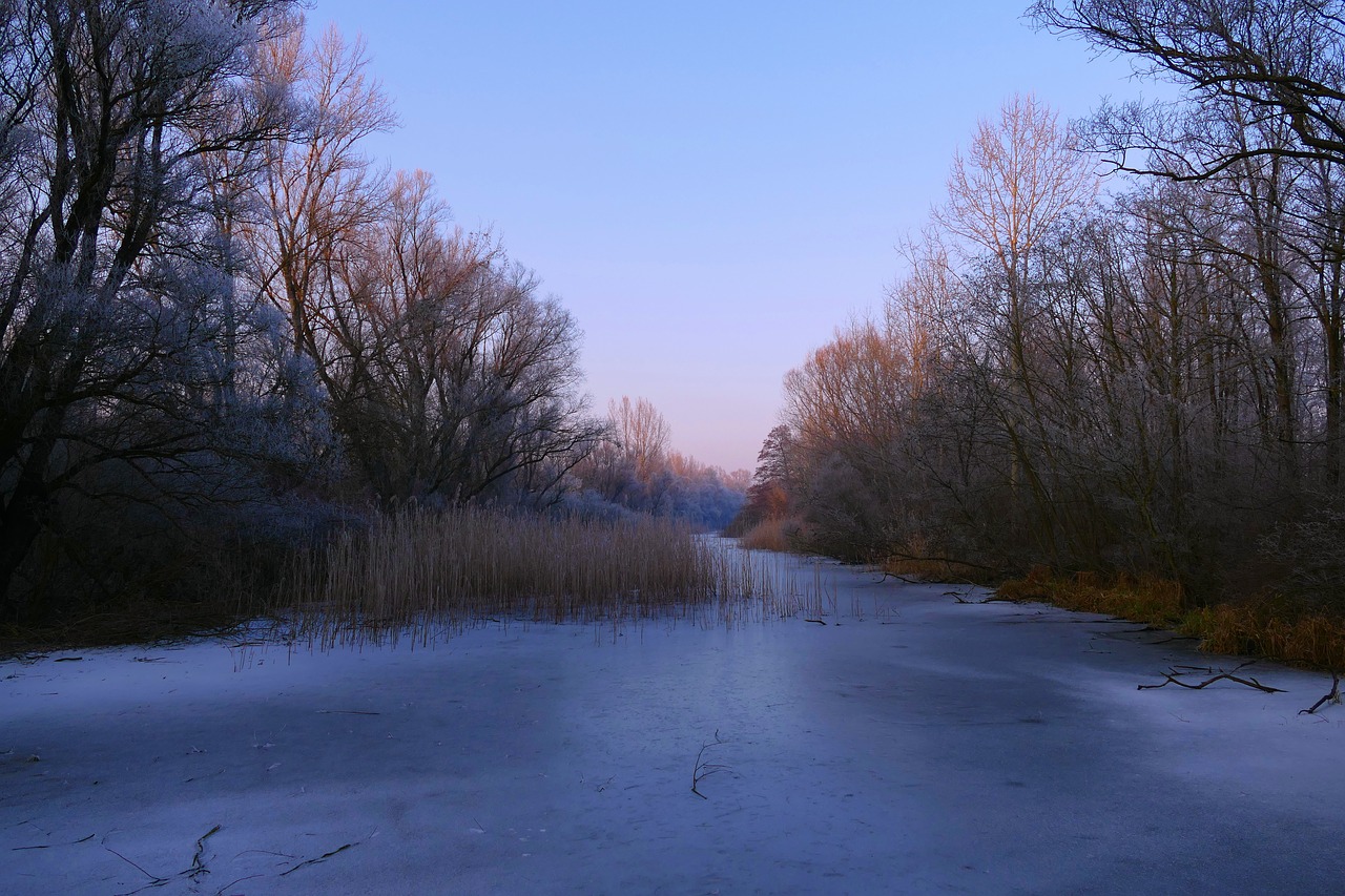 nature  country  frozen free photo