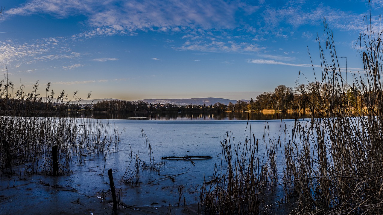 nature  lake  landscape free photo