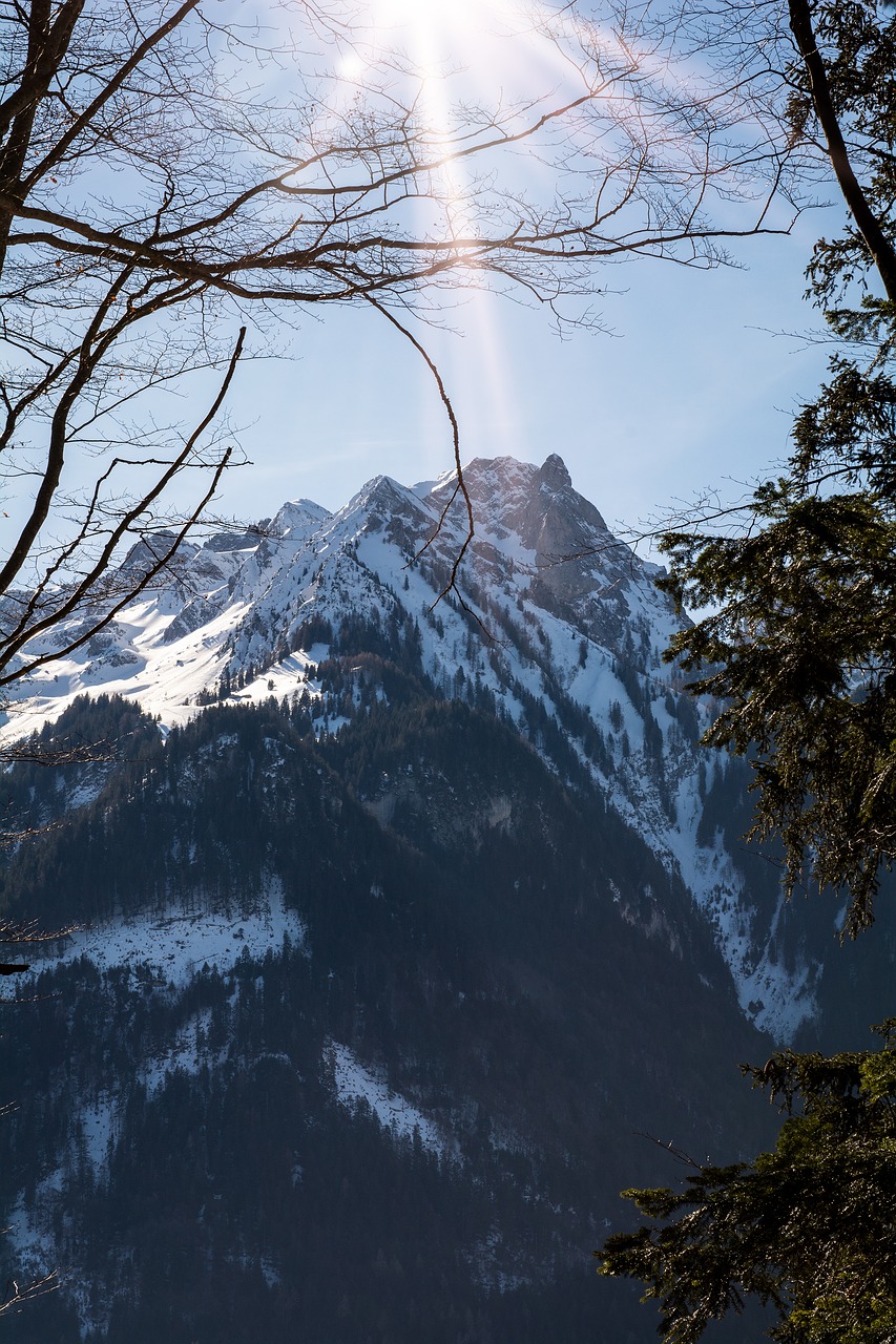 nature  landscape  winter free photo