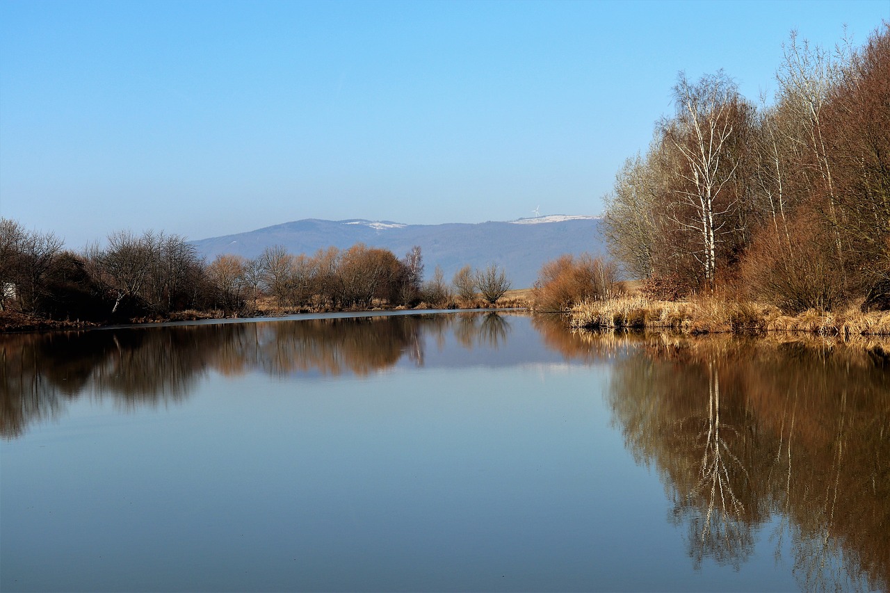 nature  landscape  trees free photo