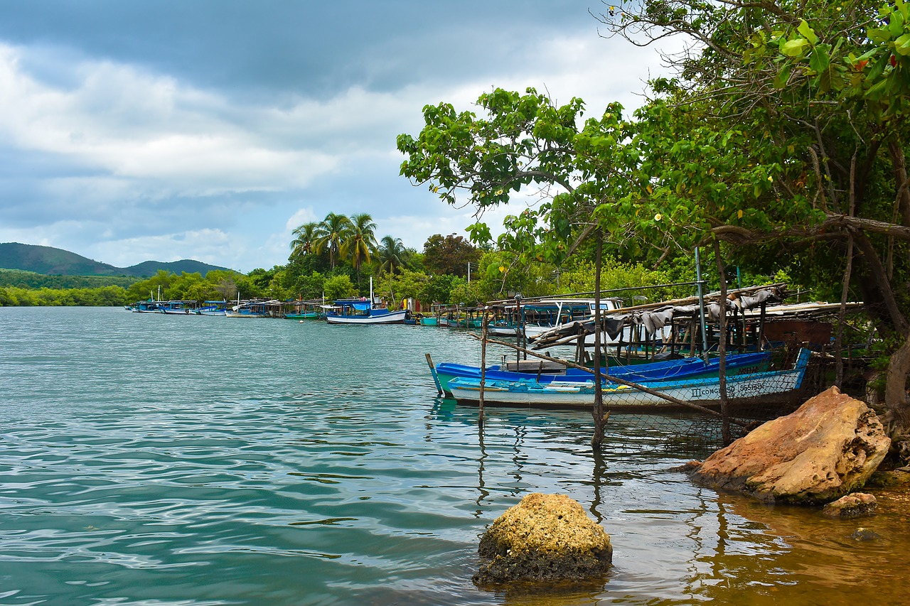 nature  beach  boats free photo