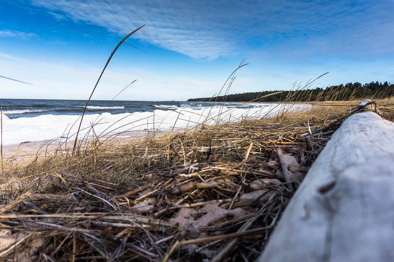 nature  landscape  sea free photo