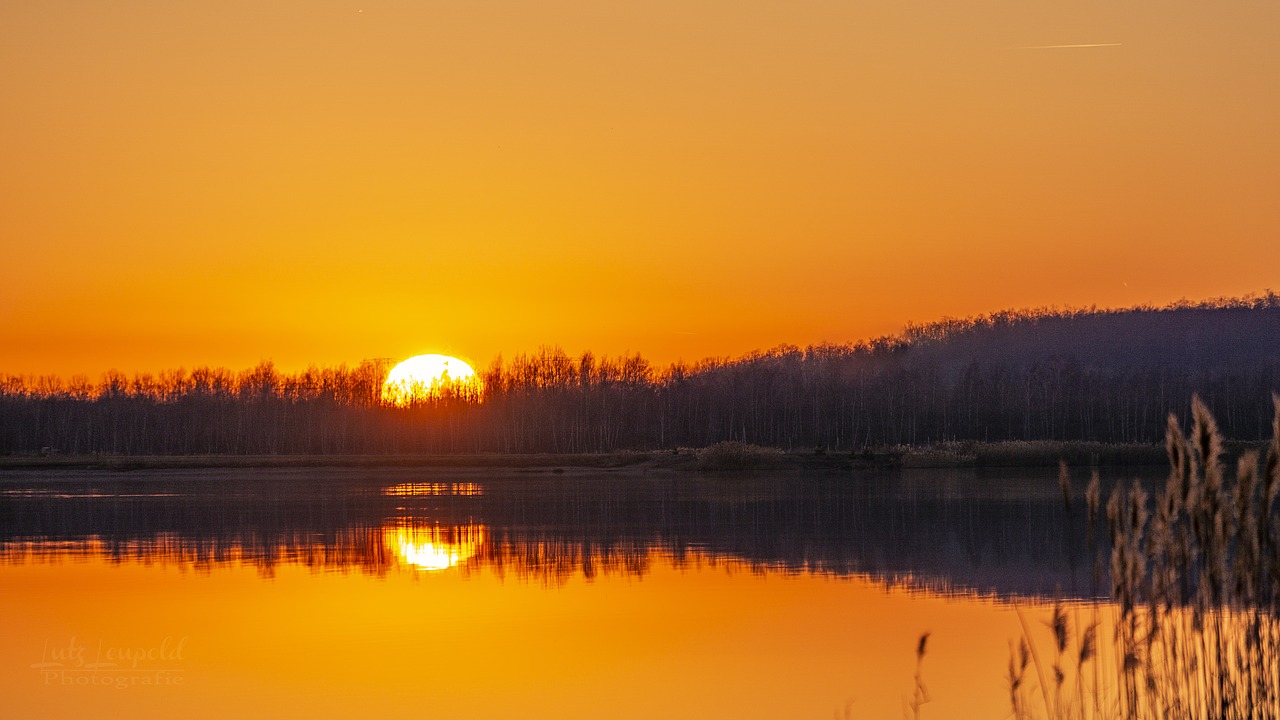 nature  lake  sun free photo