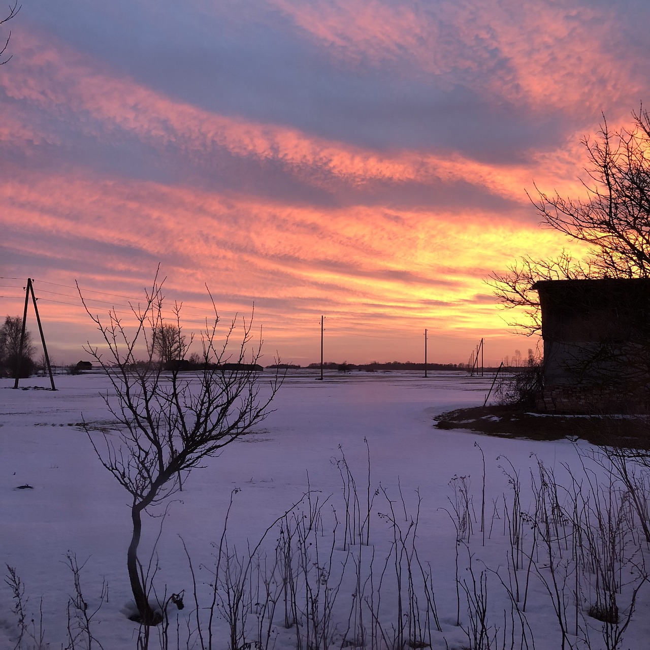 nature  latvia  sunset free photo