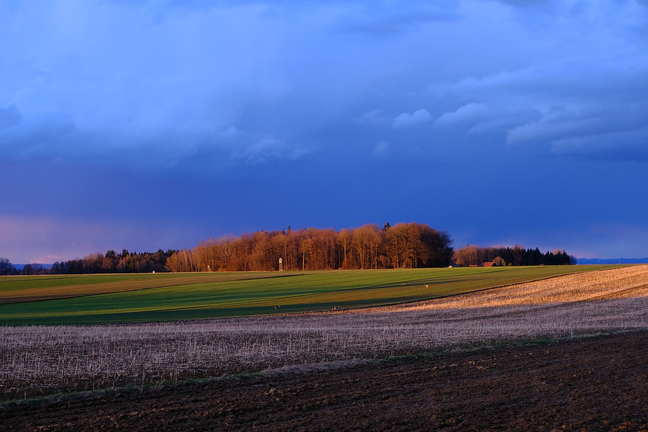 nature  landscape  sunset free photo