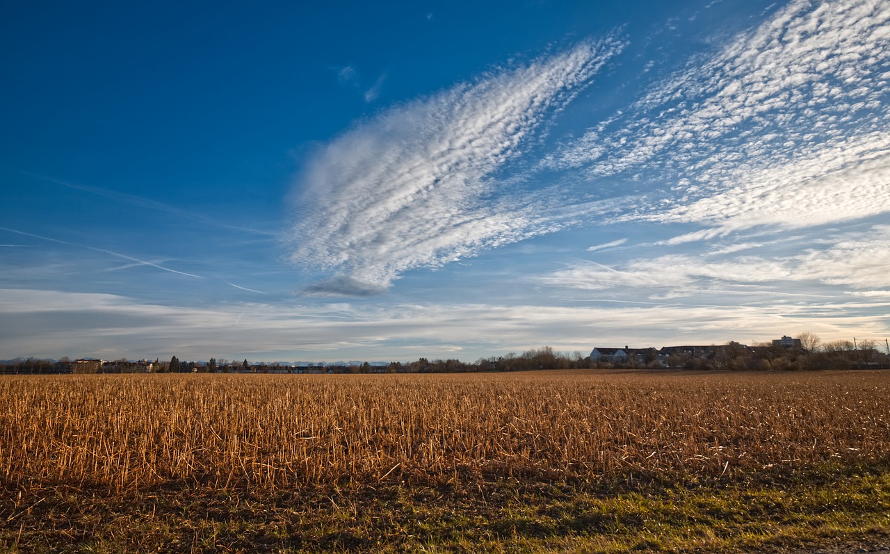 nature  sun  clouds free photo