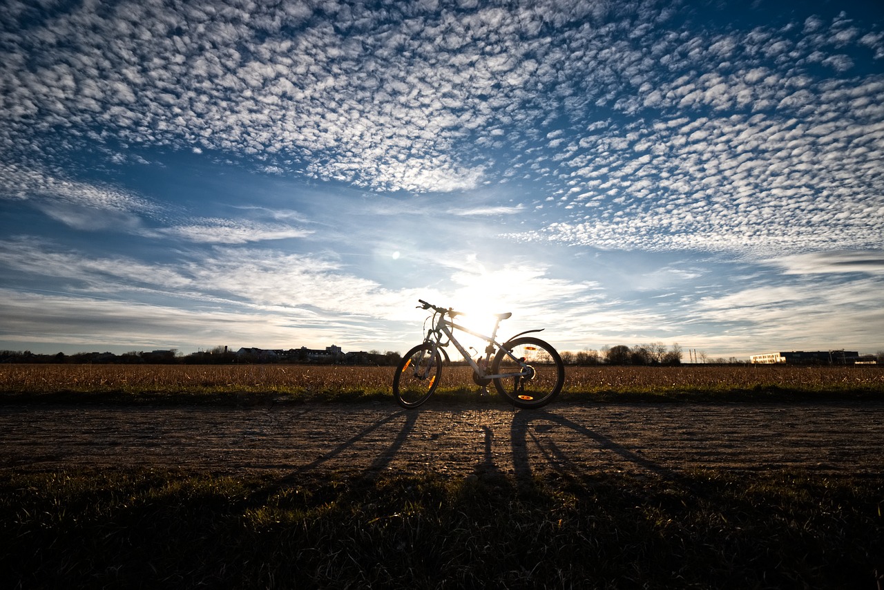 nature  sun  clouds free photo