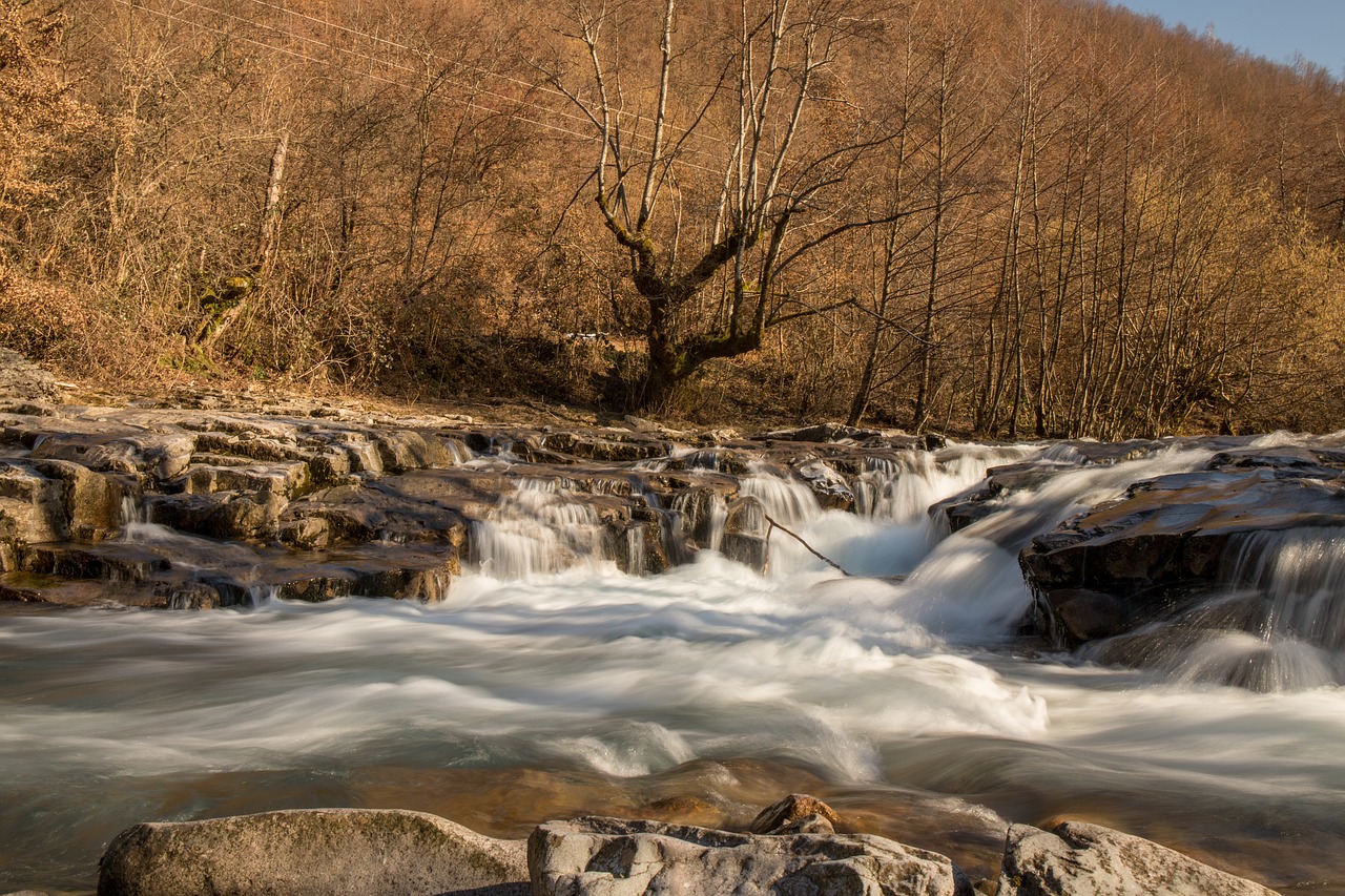 nature  water  river free photo