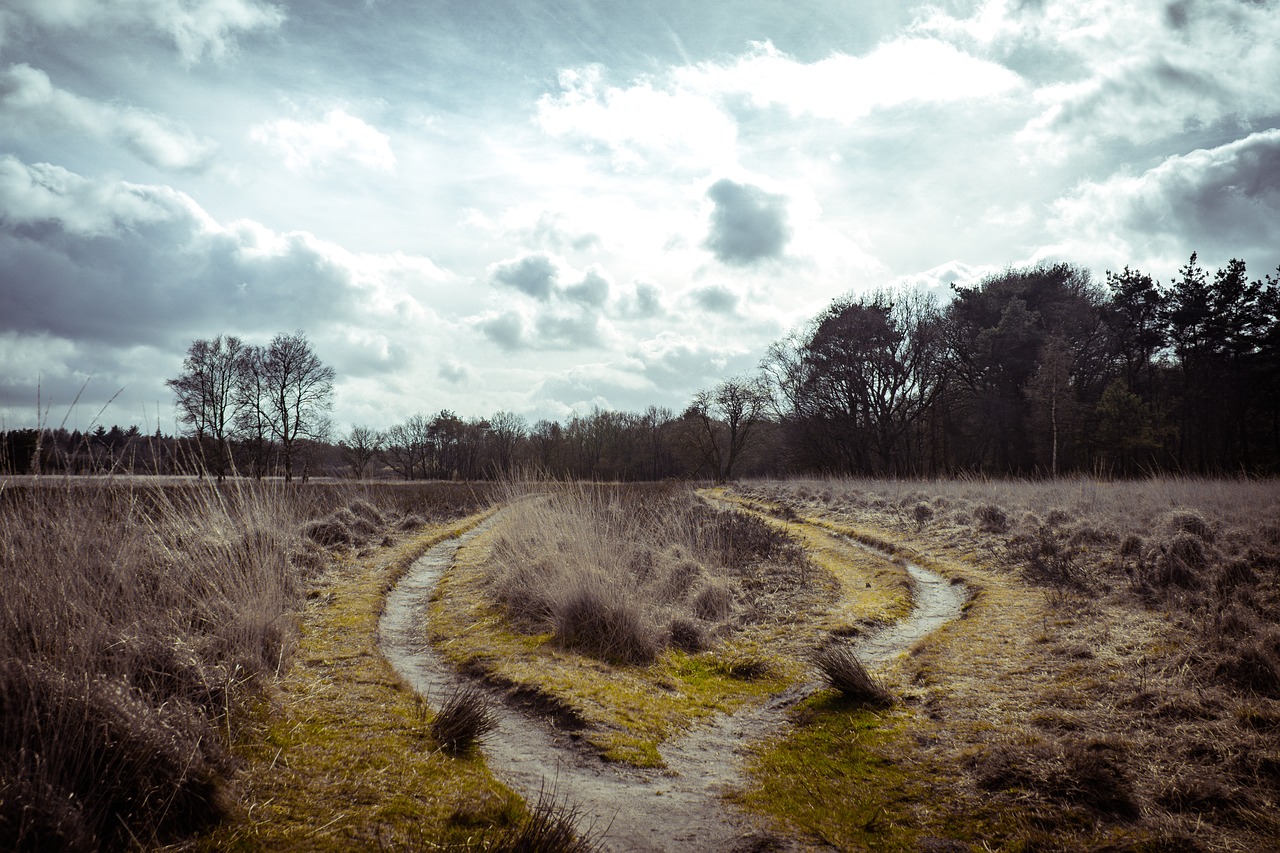 nature  landscape  green free photo