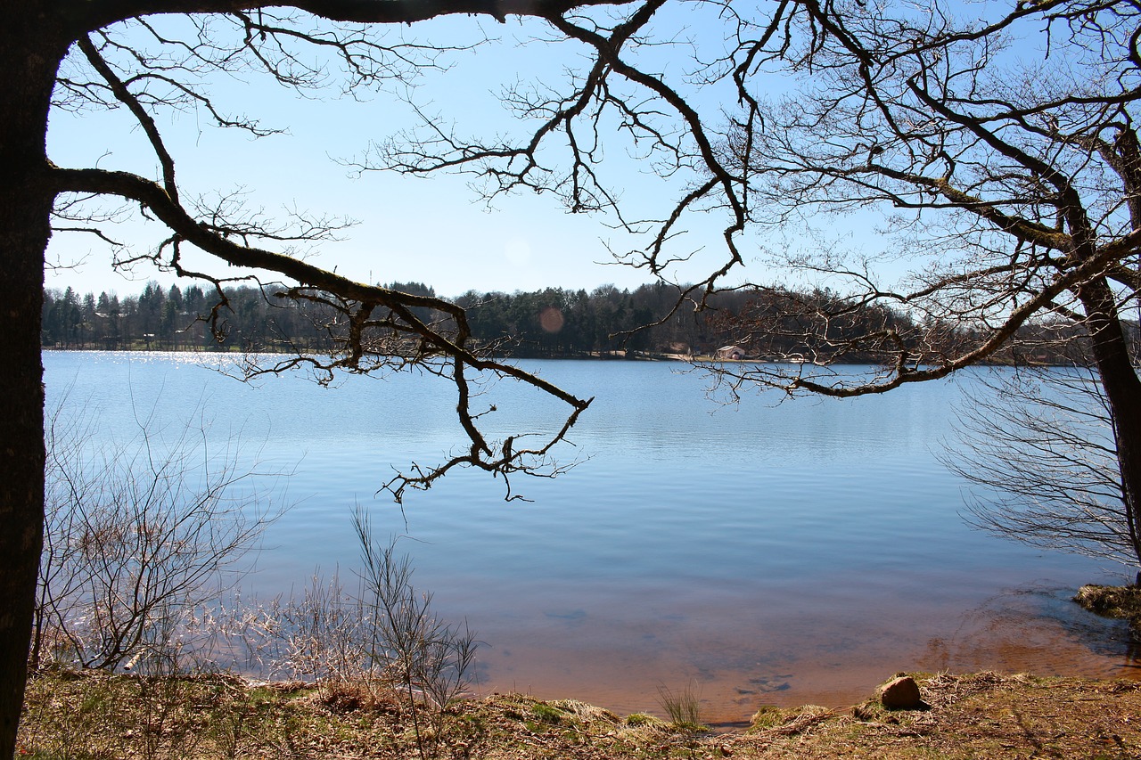 nature  lake  landscape free photo