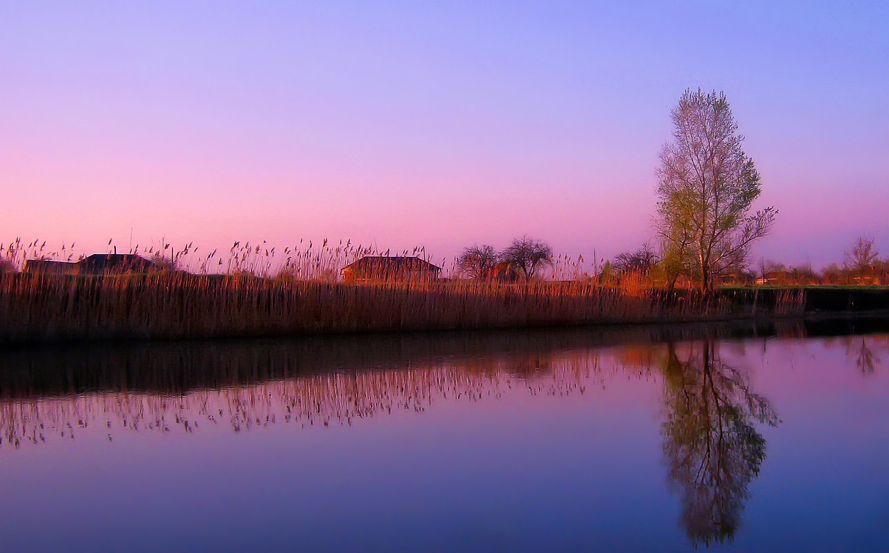 nature  village  spring free photo