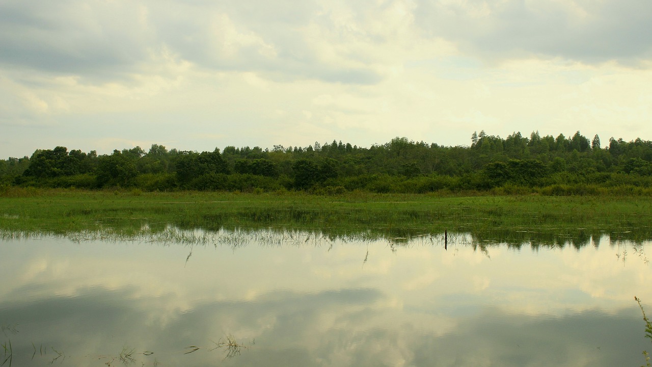 nature  the sky  water free photo