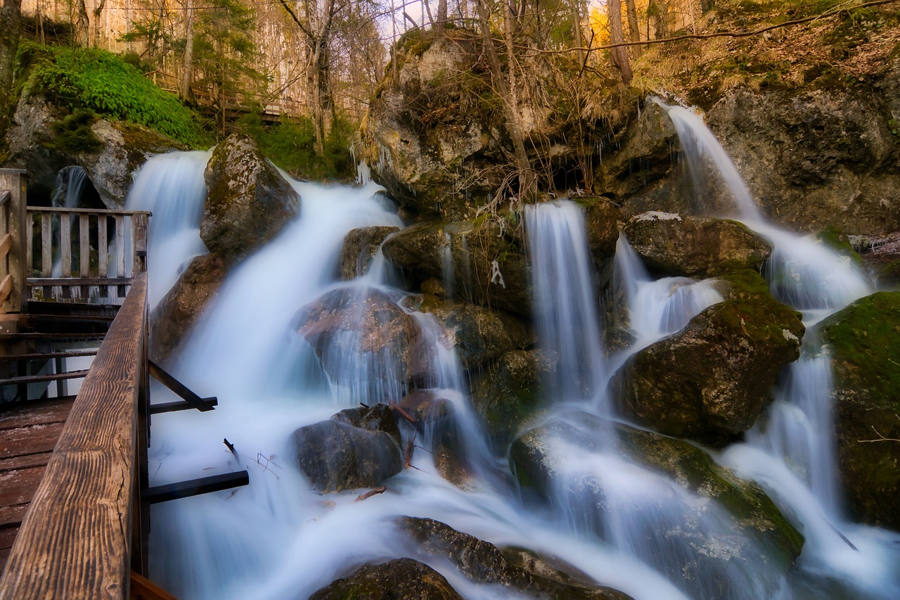 nature  creek  waterfalls free photo