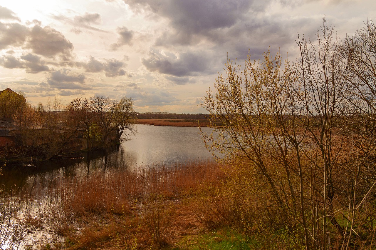 nature  landscape  river free photo