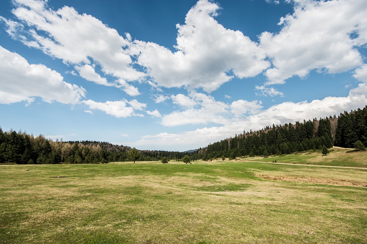 nature  hill  clouds free photo