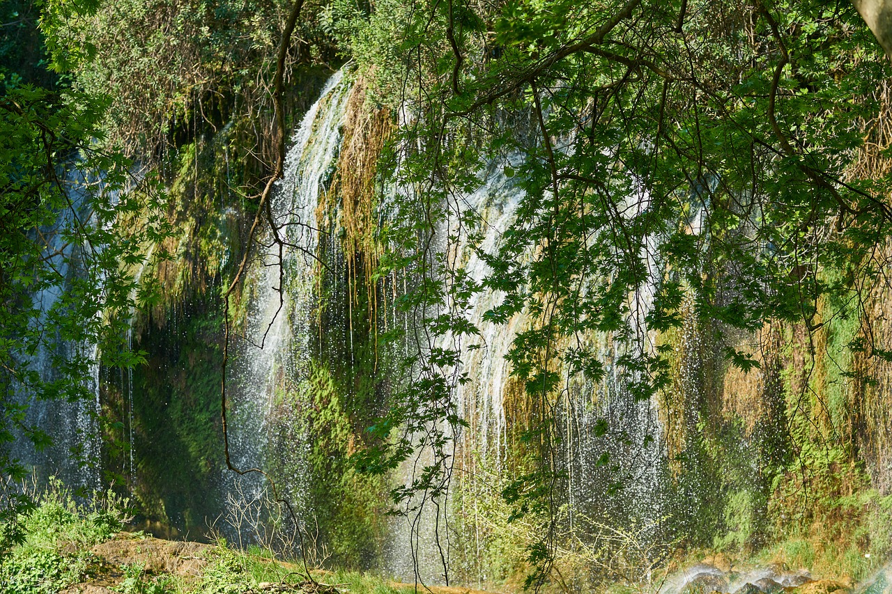 nature  waterfall  rocks free photo