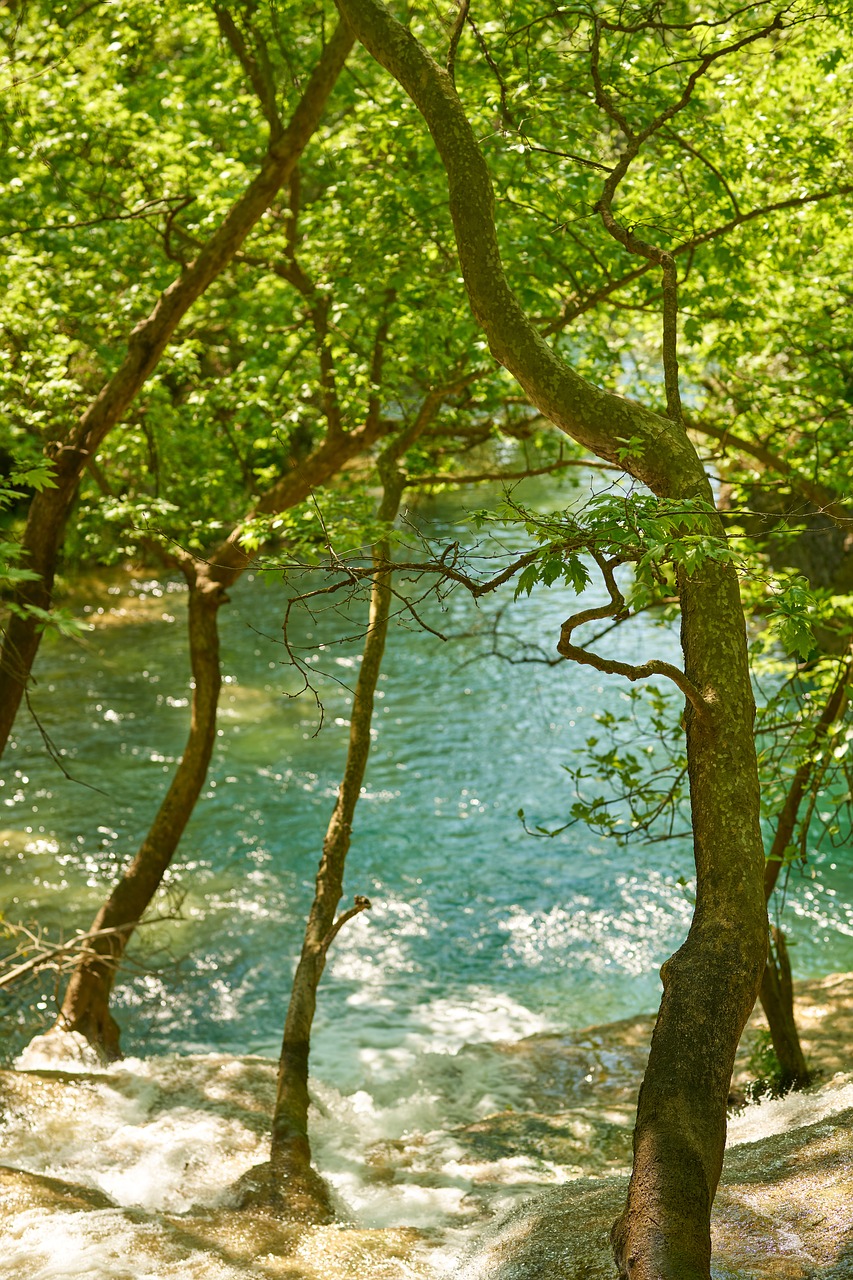 nature  waterfall  rocks free photo