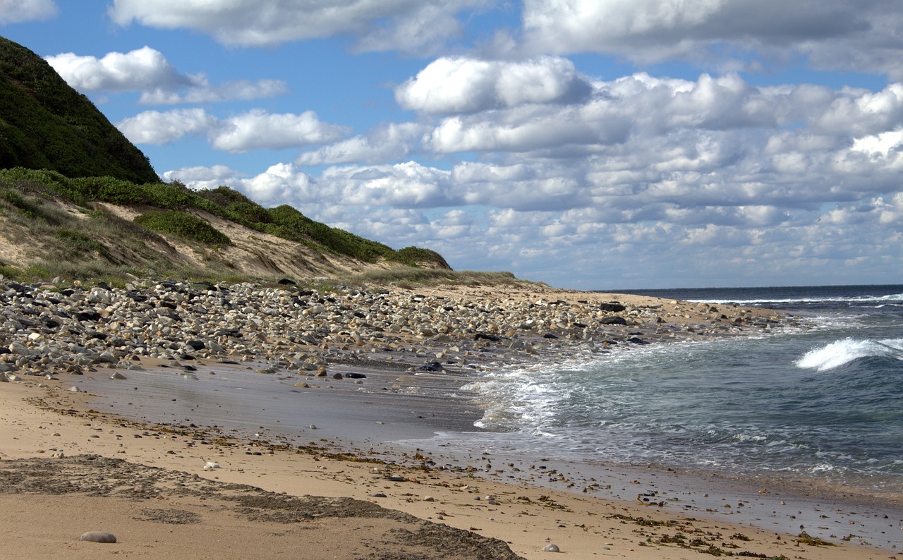 nature  sea  beach free photo