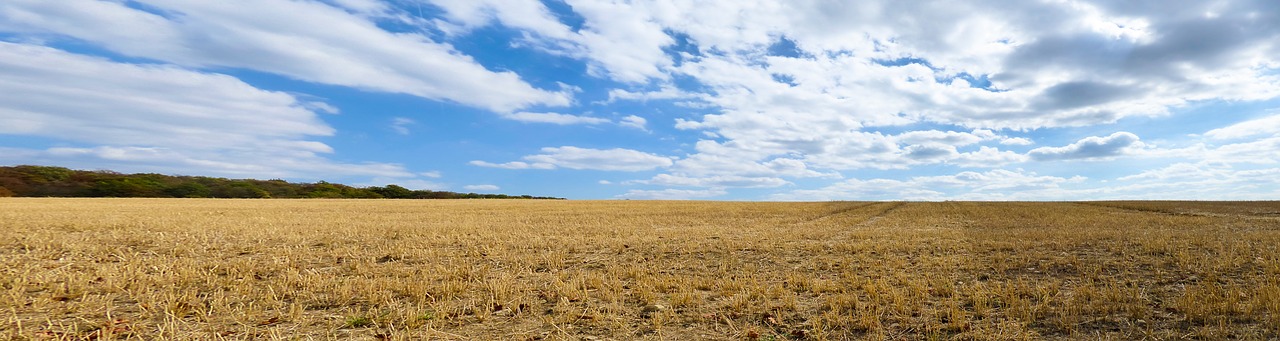 nature  landscape  field free photo