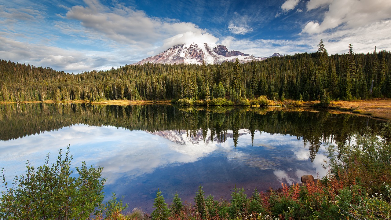 nature  lake  landscape free photo