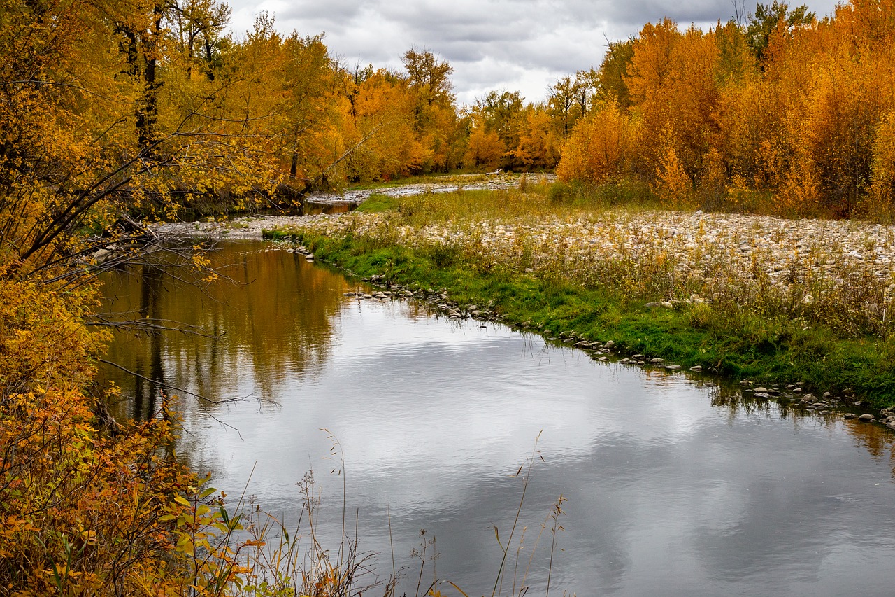 nature  autumn  fall free photo