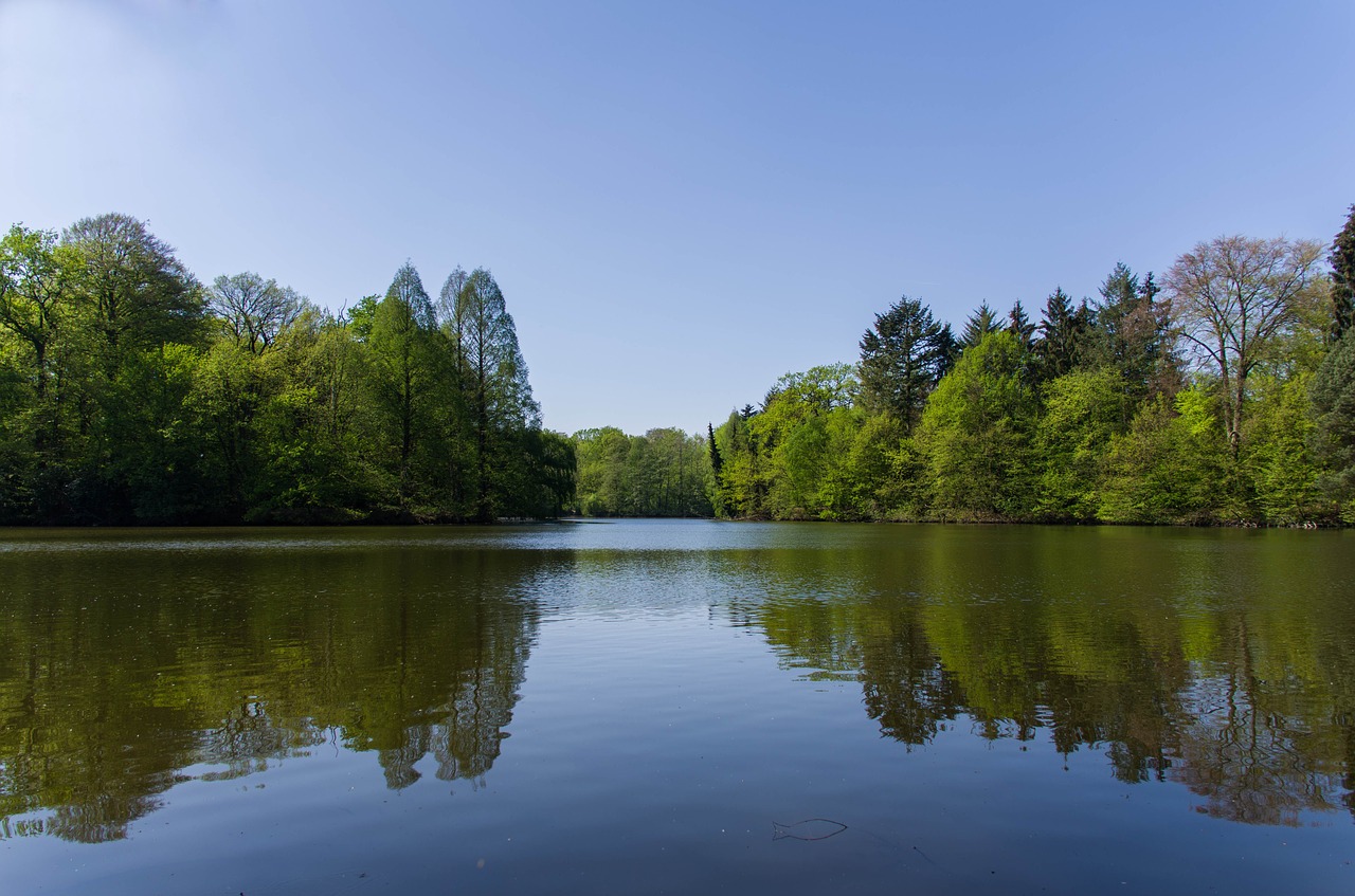 nature  lake  water free photo