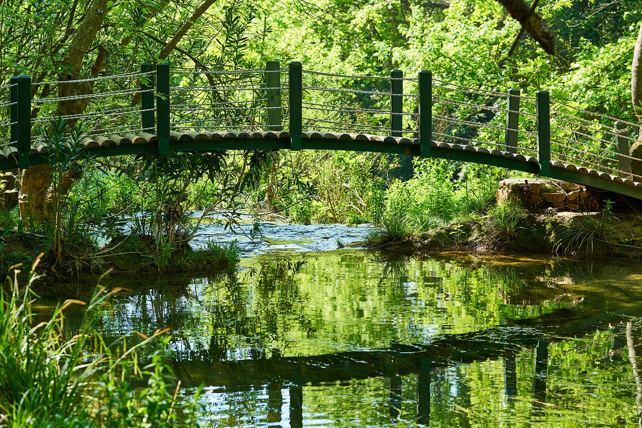 nature  park  river free photo