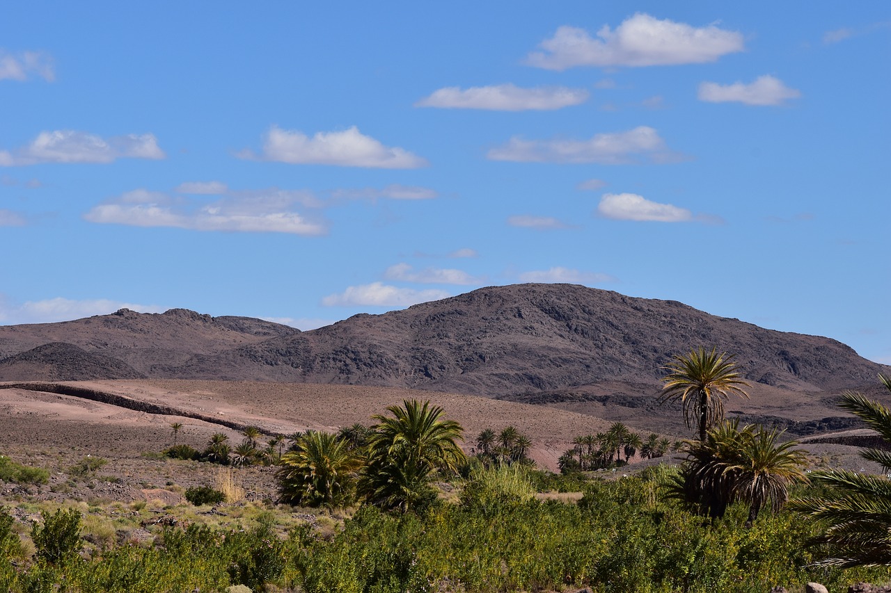 nature  landscape  morocco free photo