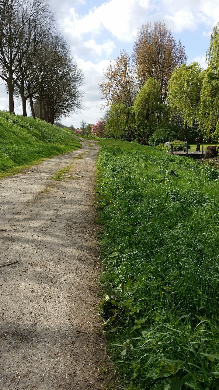 nature path beauty free photo