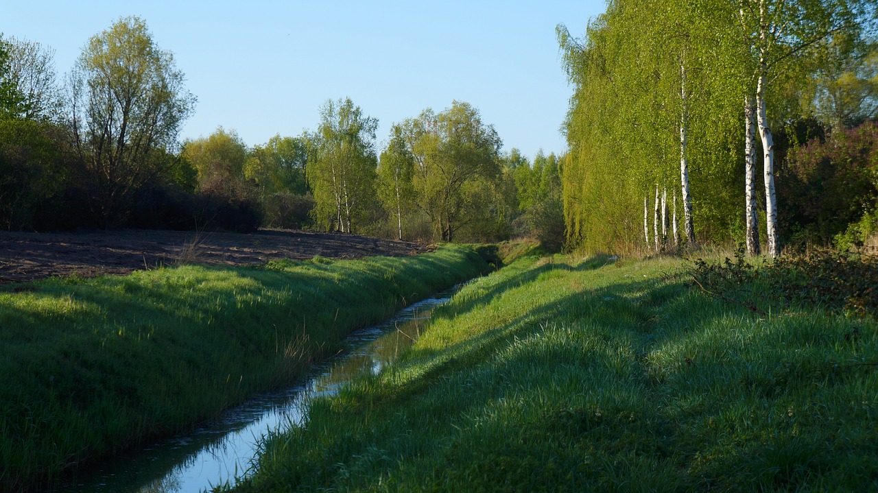 nature  landscape  ditch free photo