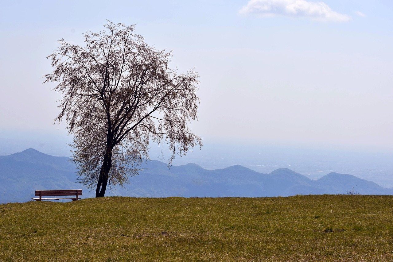 nature  tree  mountains free photo