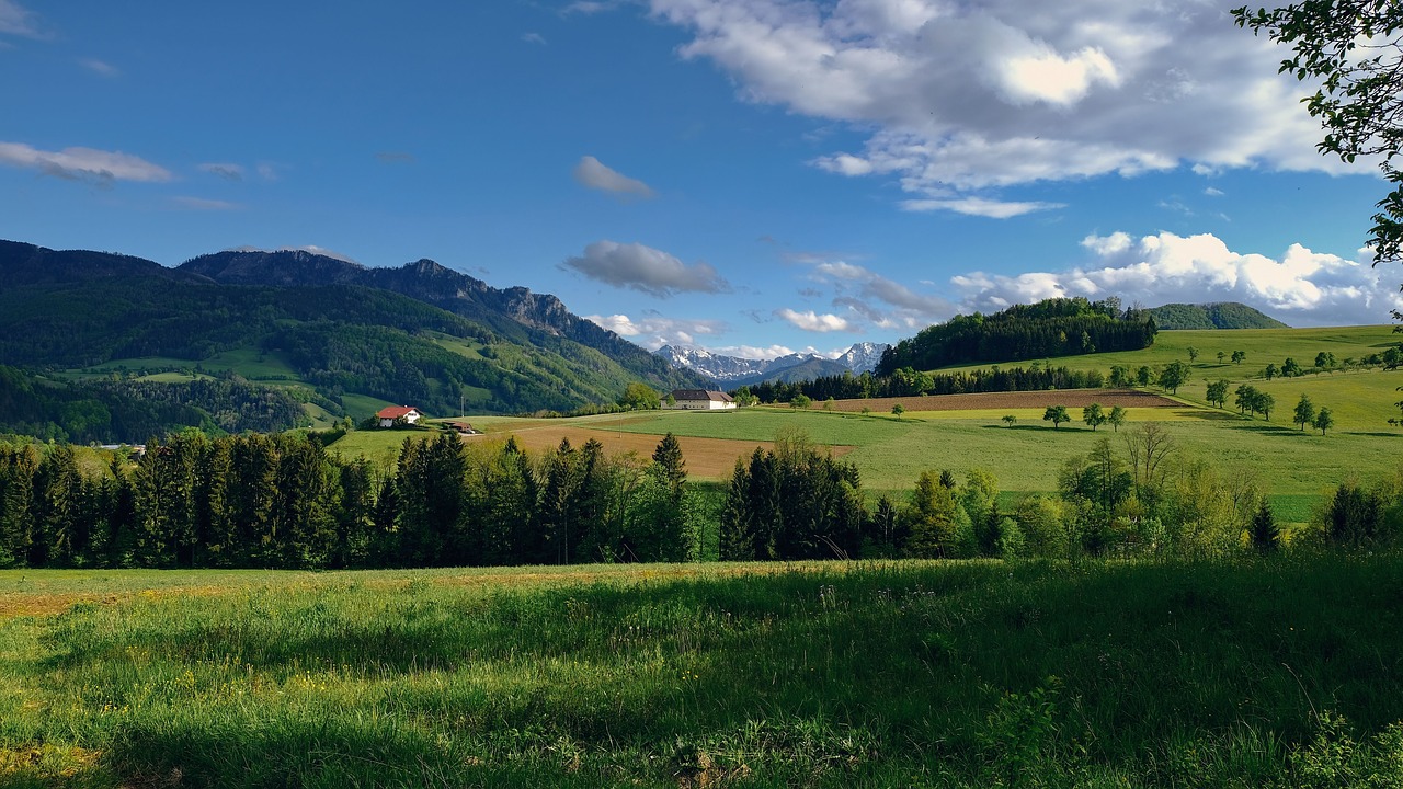 nature  landscape  fields free photo