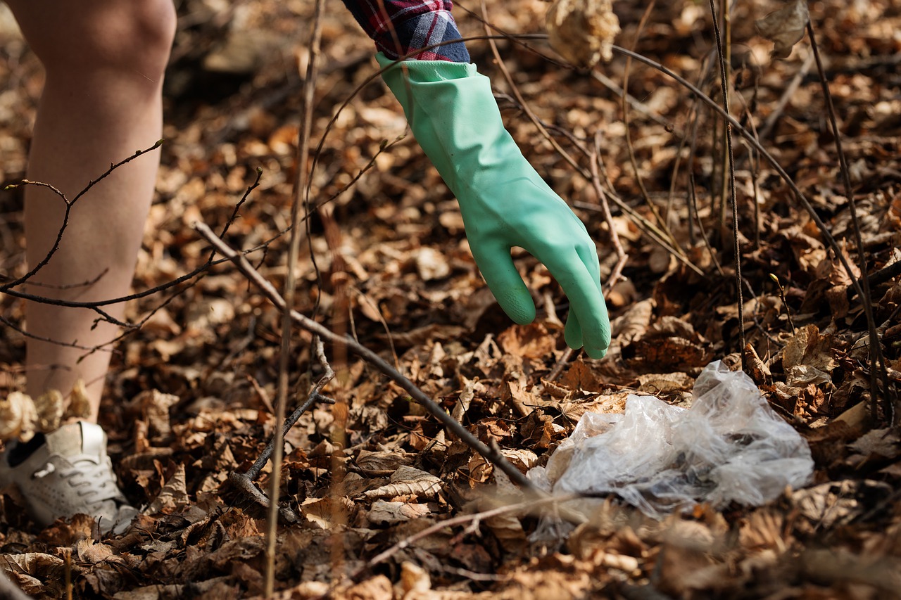 nature  garbage  pollution free photo