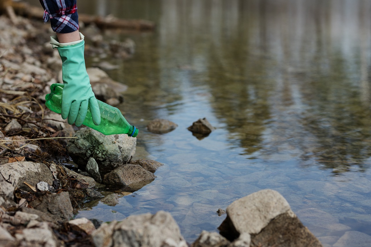 nature  garbage  pollution free photo