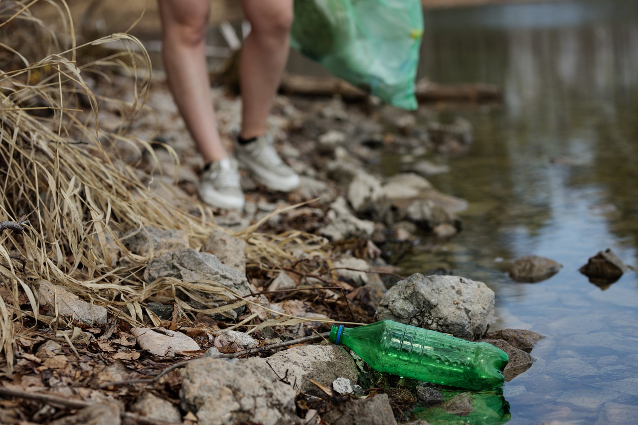 nature  garbage  pollution free photo