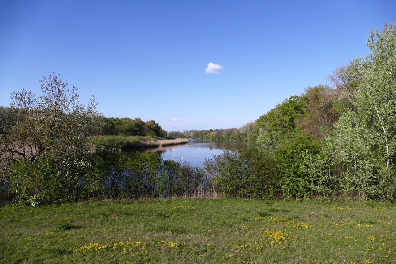 nature  country  lake free photo