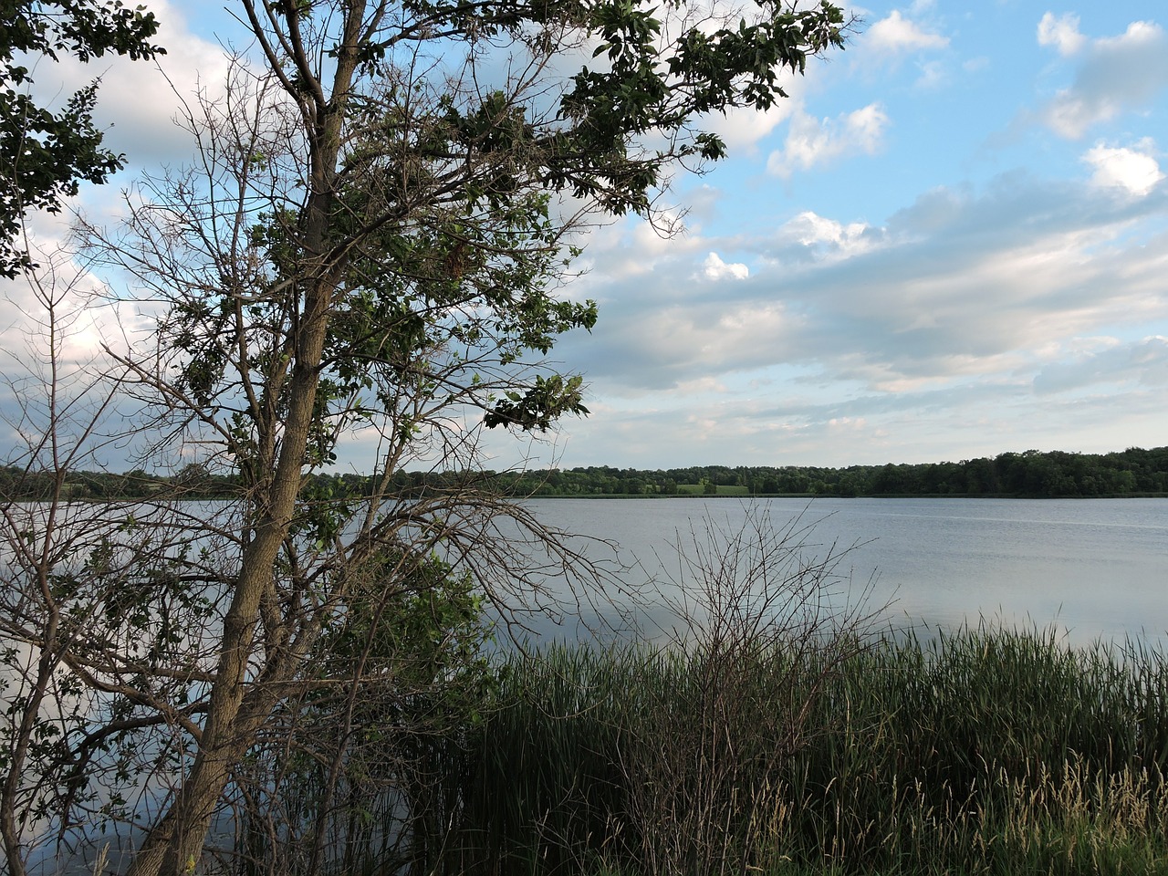 nature lake minnesota free photo