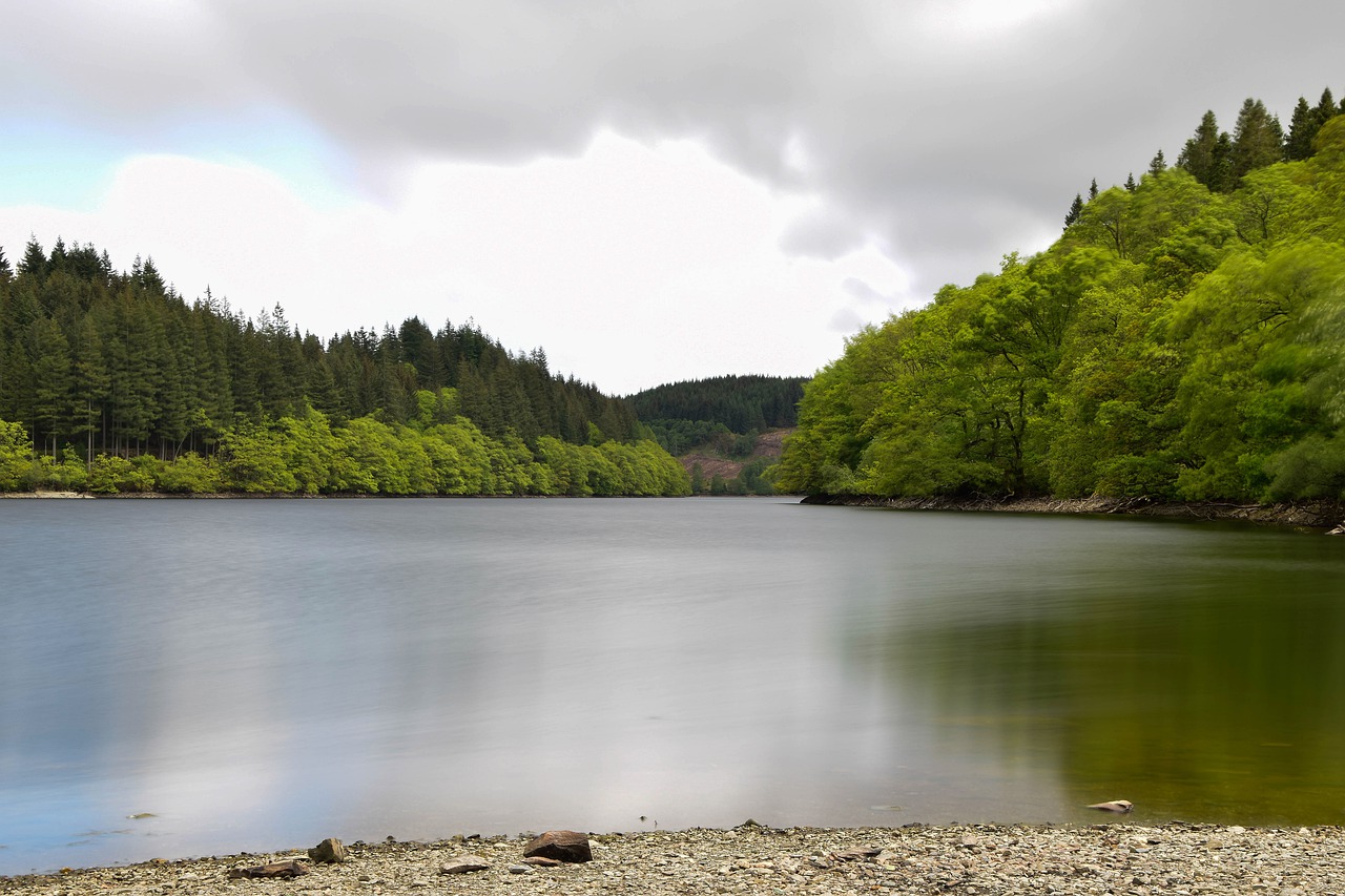 nature  landscape  lake free photo