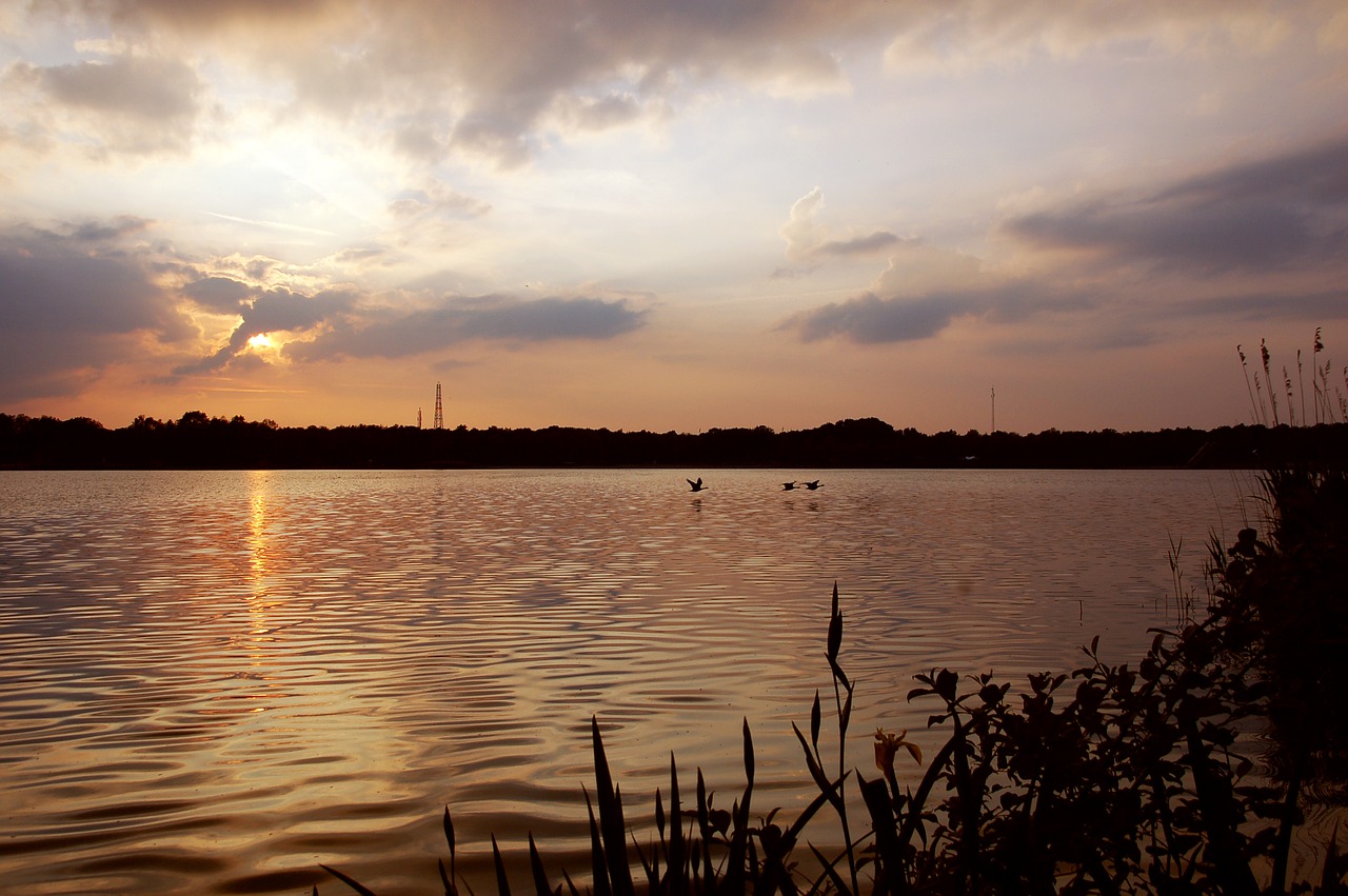 nature  sunset  river free photo