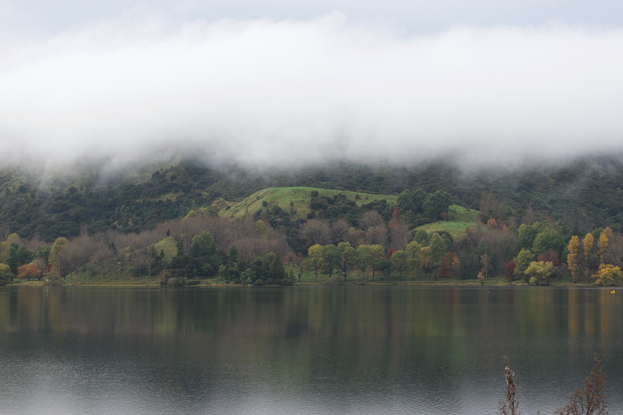 nature  autumn  lake free photo