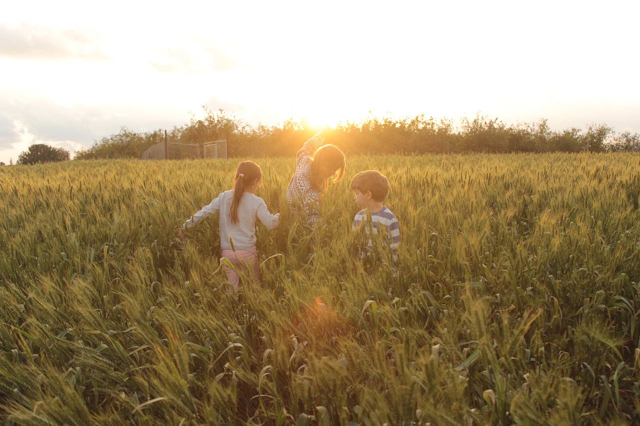 nature  children  sunset free photo