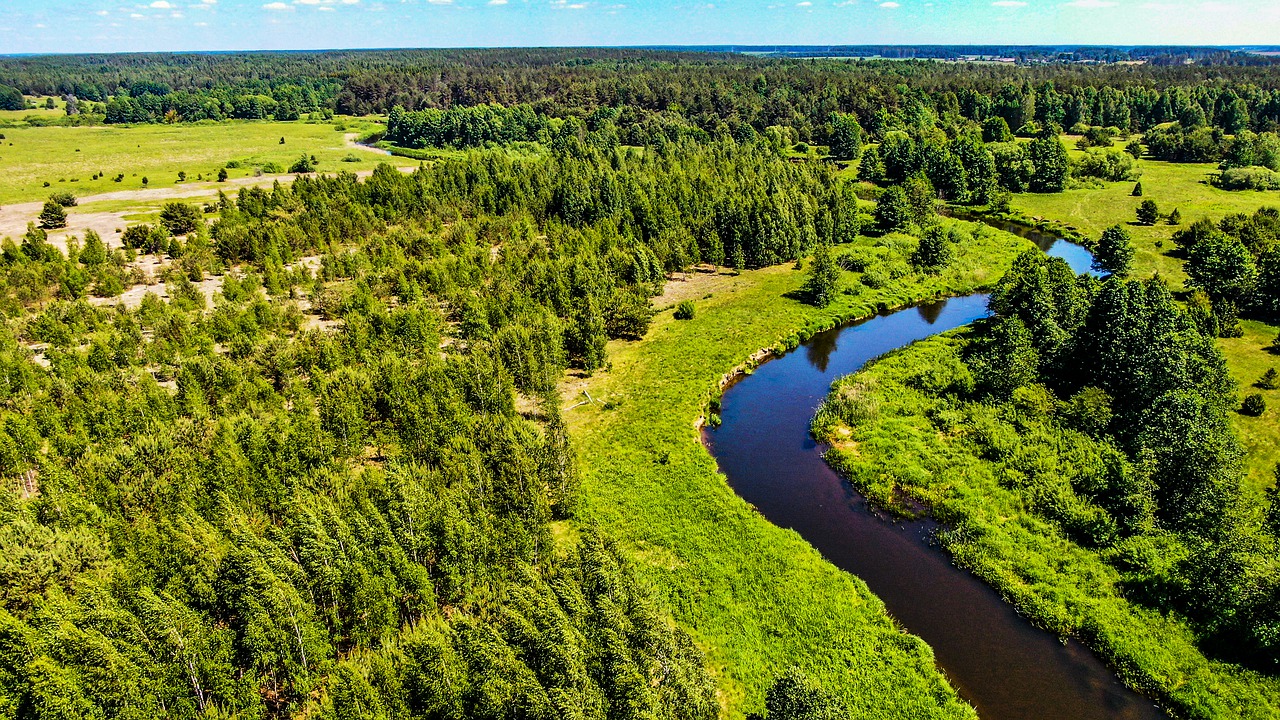 nature  river  landscape free photo