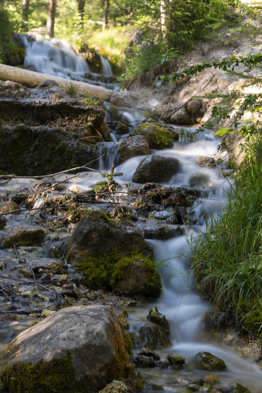 nature  landscape  tyrol free photo