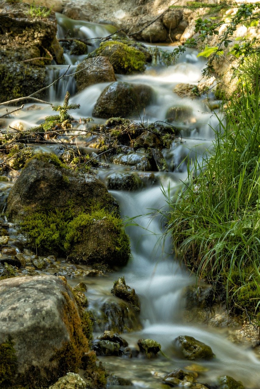 nature  landscape  tyrol free photo