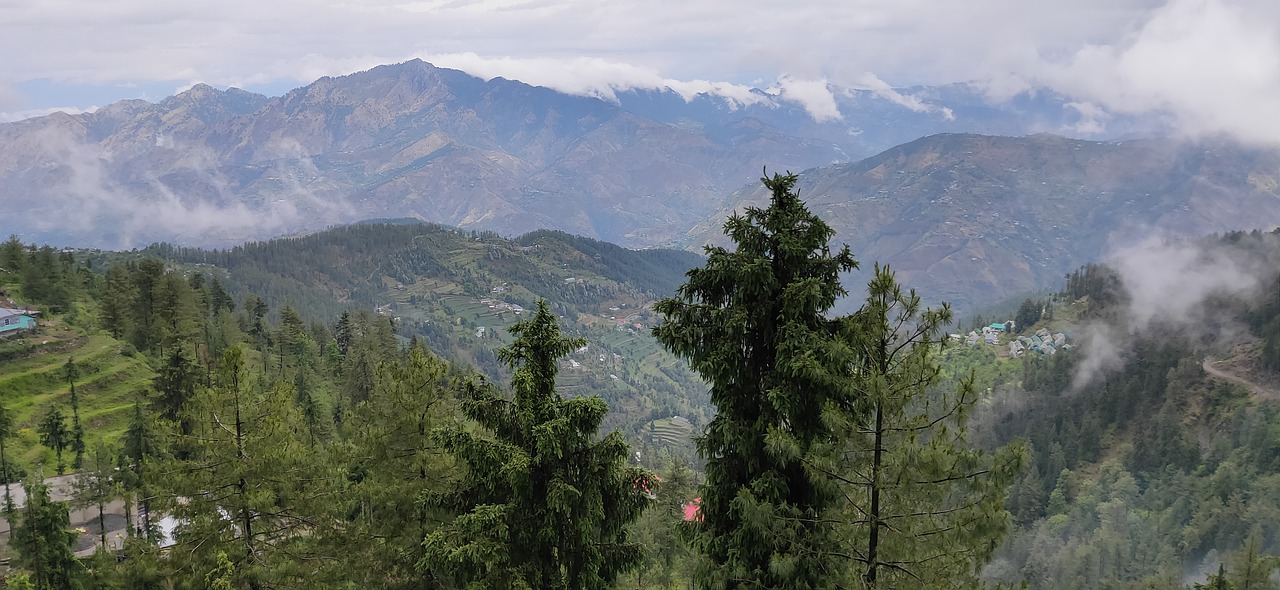 nature  himachal  shimla free photo