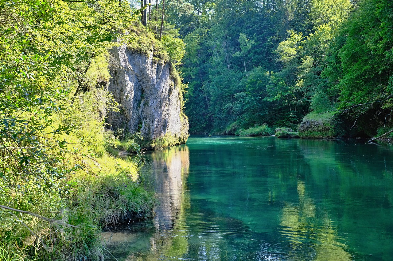 nature  landscape  river free photo