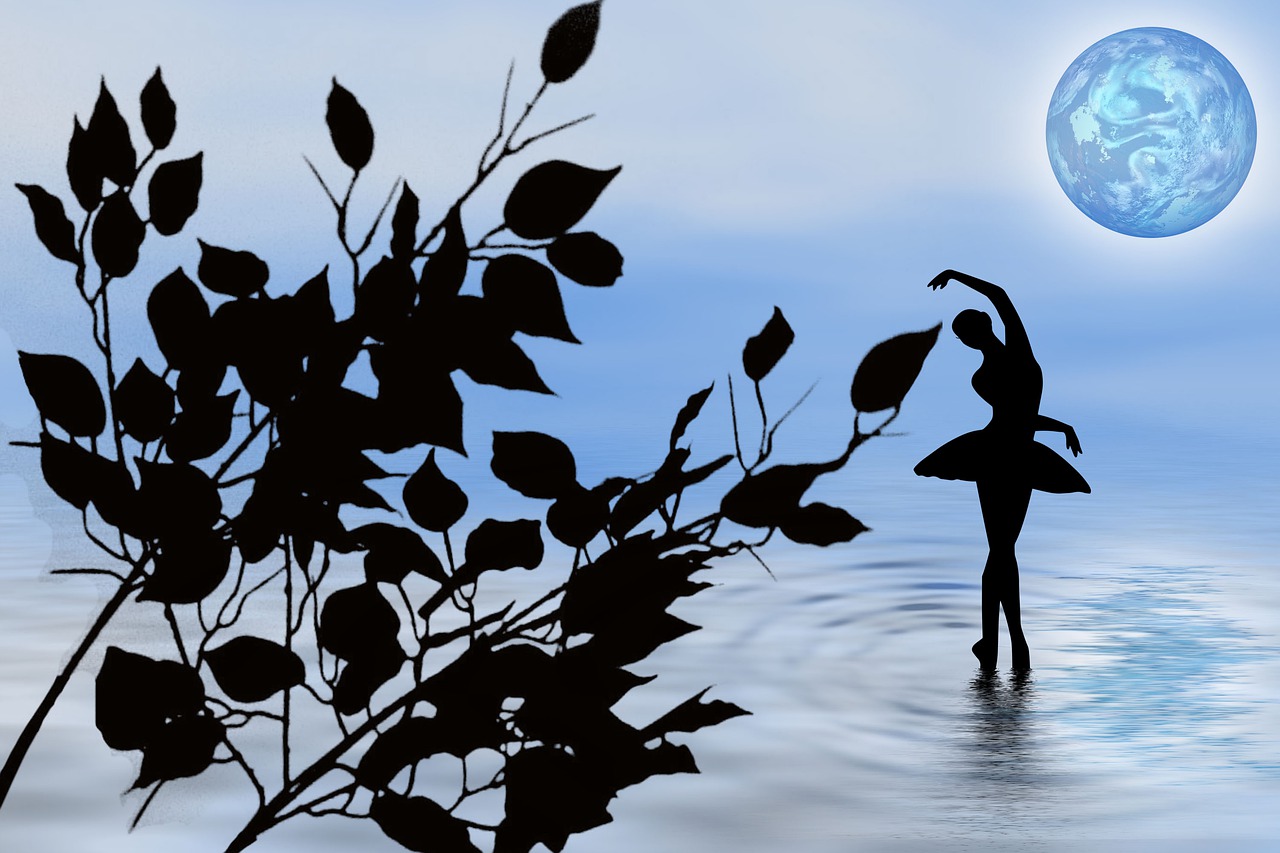 nature  dancing in the water  silhouette free photo