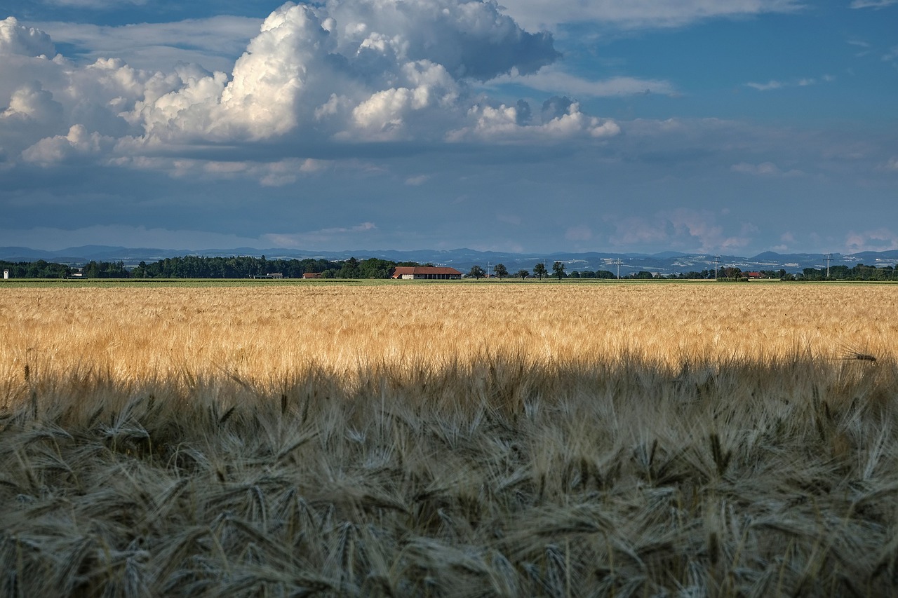 nature  landscape  wide free photo