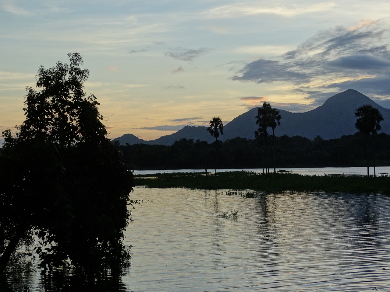 nature kerala india free photo