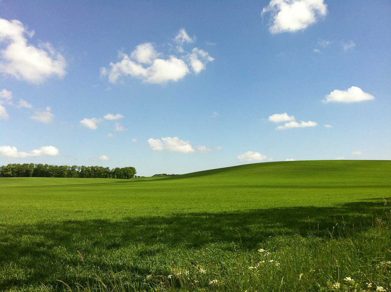 nature sky grass free photo